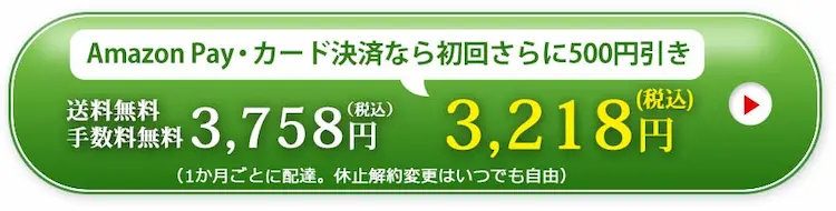 Amazon Pay・カード決済ならさらに500円引き