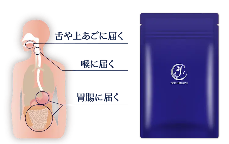お口・喉・胃腸に届くスクラブレス