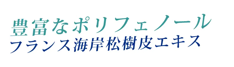 ポリフェノールが豊富なフランス海岸松樹皮エキス