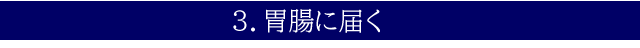 3.胃腸に届く