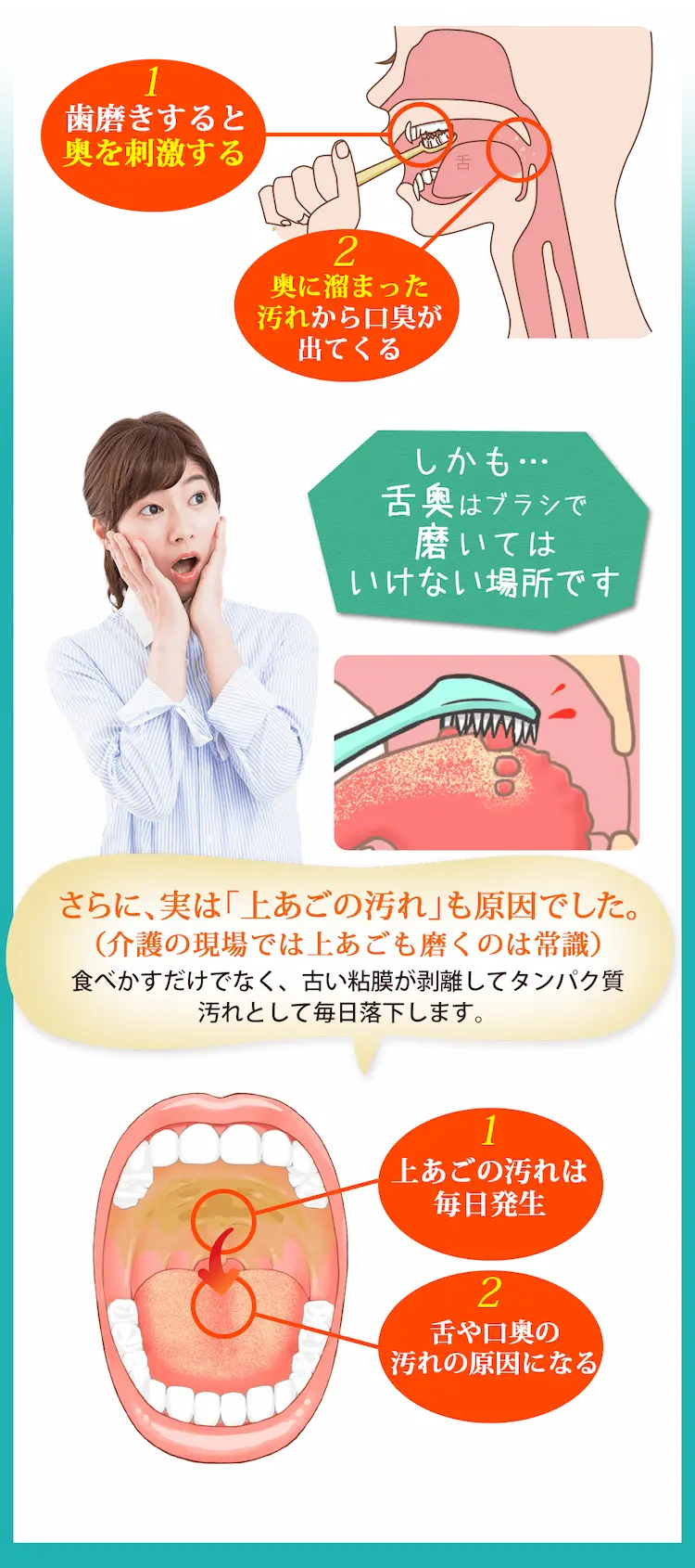 歯磨きすると奥を刺激する奥に溜まった汚れから口臭が出てくるしかも…舌奥はブラシで磨いてはいけない場所ですさらに、実は「上あごの汚れ」も原因でした。(介護の現場では上あごも磨くのは常識)食べかすだけでなく、古い粘膜が剥離してタンパク質汚れとして毎日落下します。上あごの汚れは毎日発生舌や口奥の汚れの原因になる