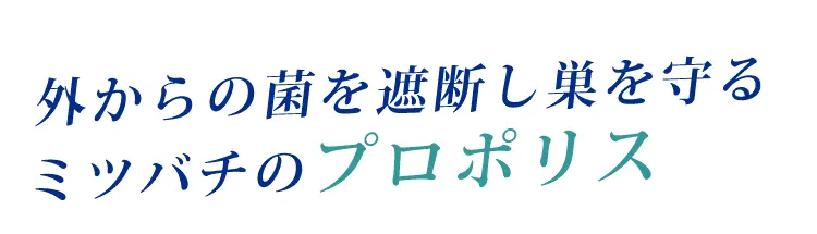 ミツバチが外からの菌を遮断し巣を守るプロポリスを配合