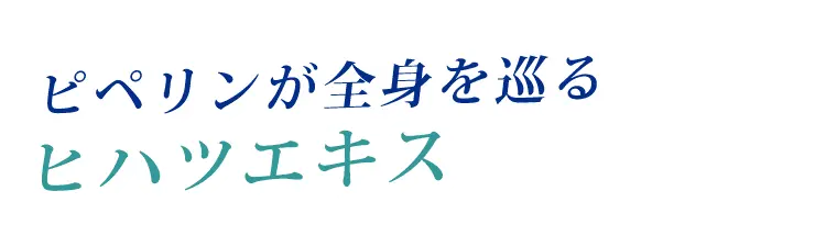 ピペリンが巡るヒハツエキス